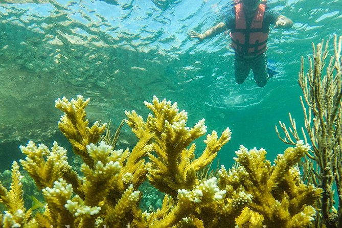 Local Fishing Plus Snorkeling Tour in Isla Mujeres - Starting at Miguel Hidalgo 03 in Centro