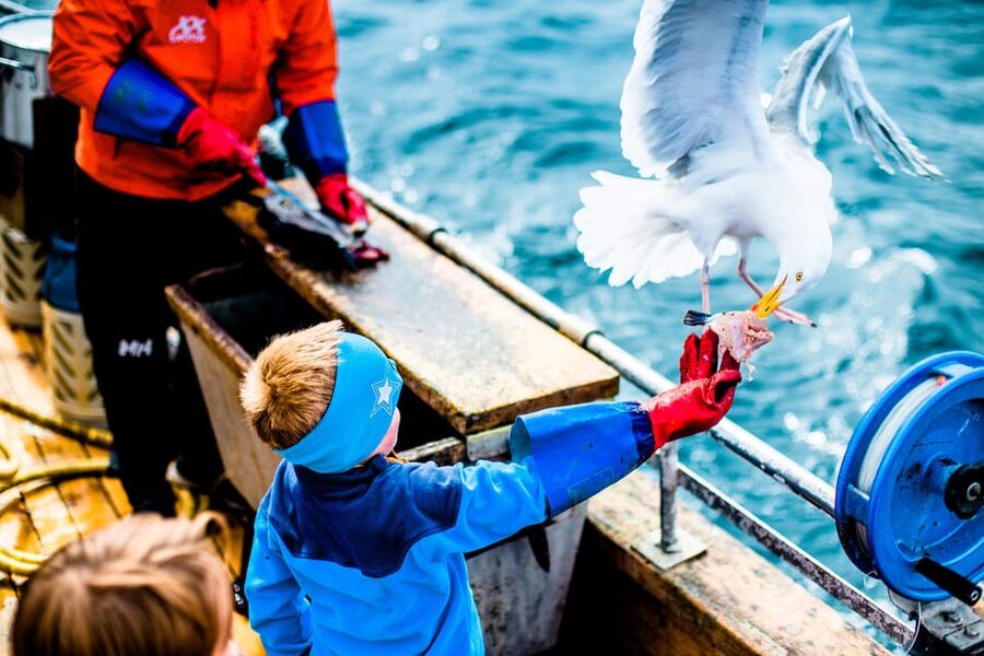 Lofoten: Traditional Fishing Trip - Local Stories and Life on Lofotfisket