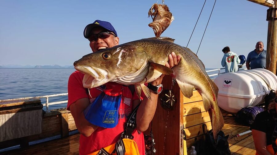 Lofoten: Traditional Fishing Trip - Learning to Fillet Your Catch