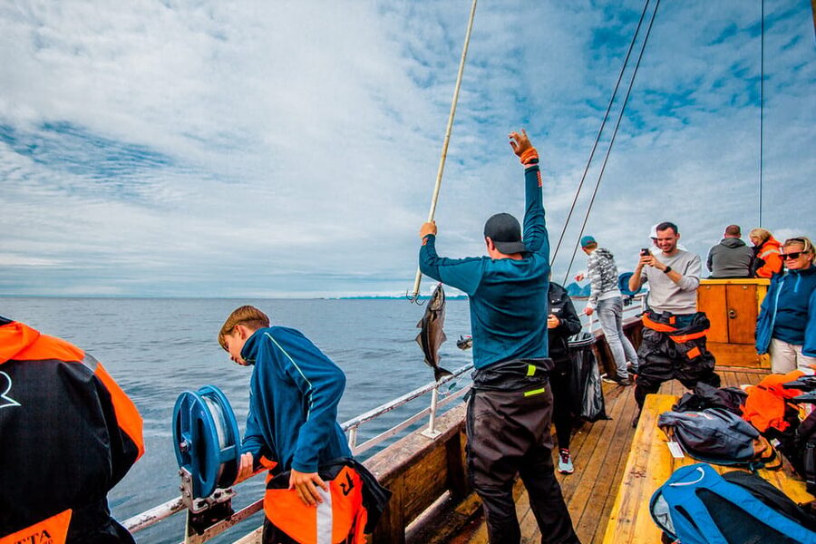 Lofoten: Traditional Fishing Trip - Should You Book This Lofoten Fishing Trip?