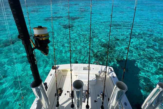 Luxury Private Fishing Charters - FULL DAY CHARTER - Deep sea targets and the excitement of the open water