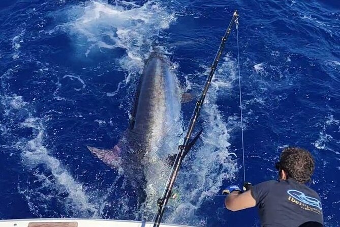 Macaronesia Charter Fishing in Lanzarote (Canary Islands) - What you might catch near shore