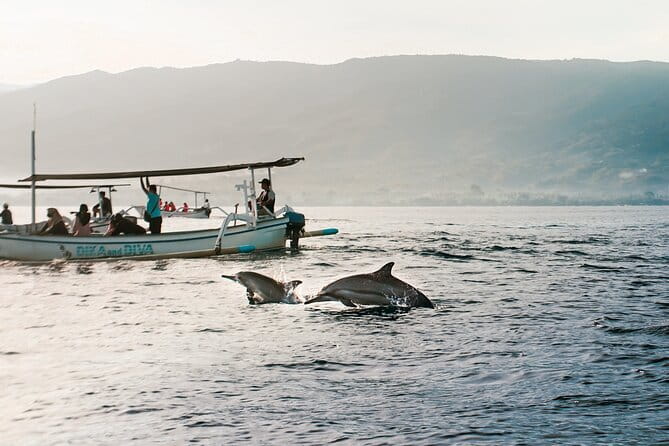 Mahi - Mahi Fishing Tour at North Bali Indonesia - What the $120 price gives you