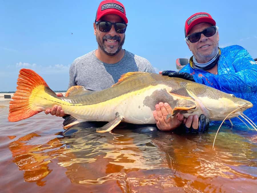 Manaus : A day of fishing on the Rio Negro - Key points before you book