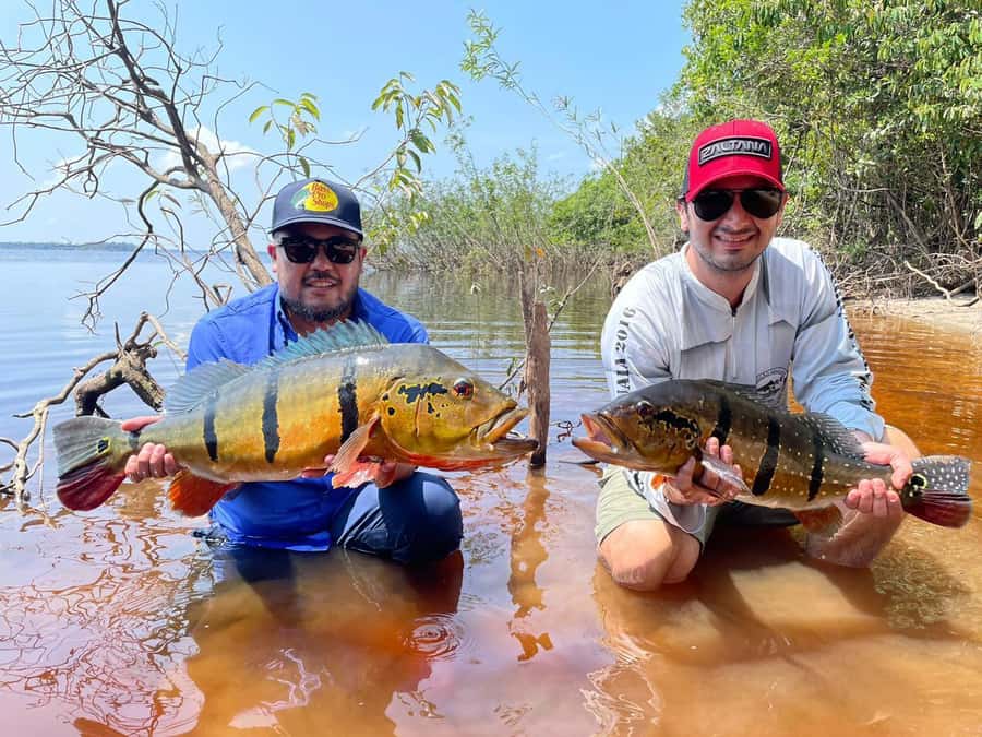 Manaus : A day of fishing on the Rio Negro - Practical value, timing, and booking flexibility