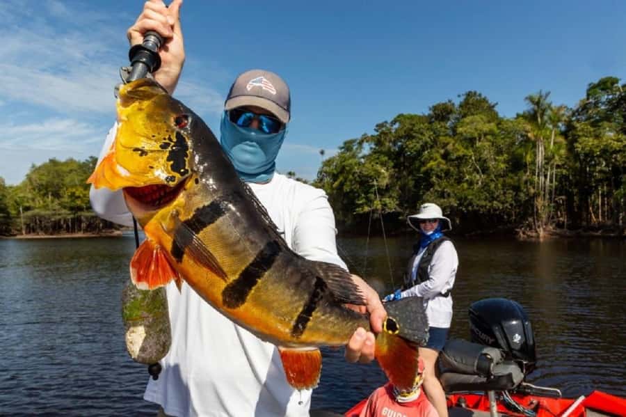 Manaus : A day of fishing on the Rio Negro - What to bring and what not to expect