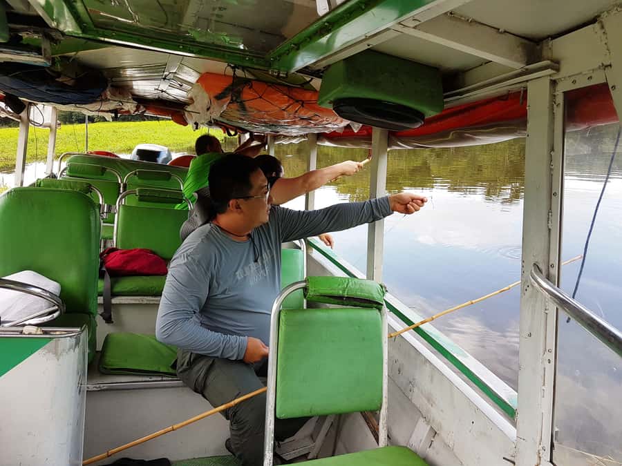 Manaus: Piranha Fishing and Alligator Watch Evening Tour - Piranhas, catfish, and realistic expectations
