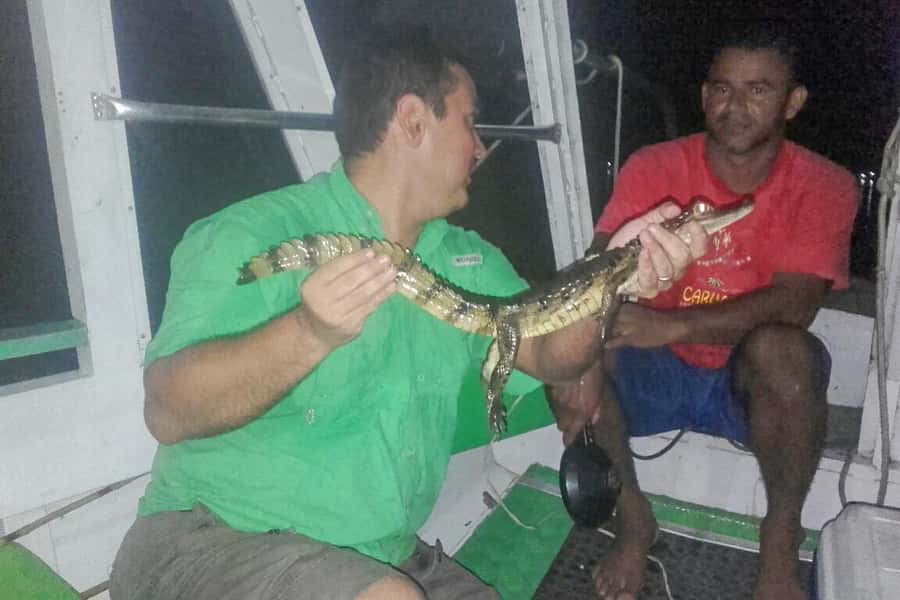 Manaus: Piranha Fishing and Alligator Watch Evening Tour - Searching for alligators after dark