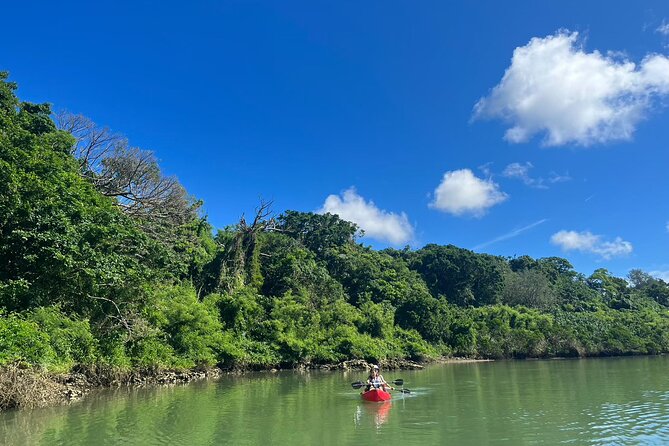 Mangrove Kayak ＆ Sea Fishing Experience in Okinawa - Facilities that make a difference