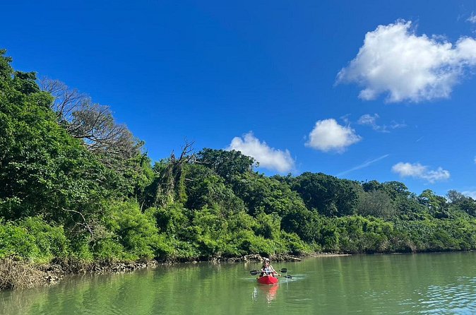 Mangrove Kayak ＆ Sea Fishing Experience in Okinawa - What the $63.74 price covers