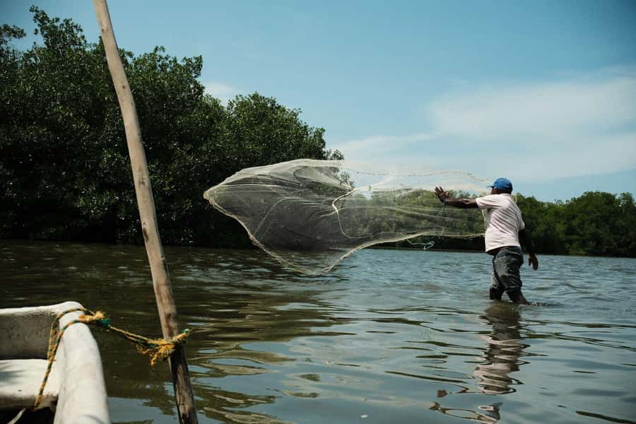 Mangroves, cultural fishing, black heritage town and lunch - Key points at a glance
