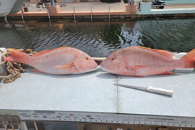 Marathon Florida Keys Fishing Experience - Setting out from Marathon at 11833 Overseas Highway