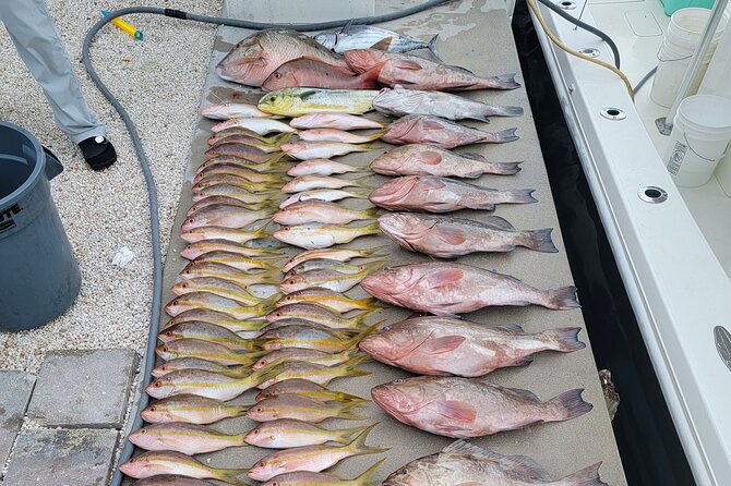 Marathon Florida Keys Fishing Experience - The eight-hour offshore choice for bigger targets