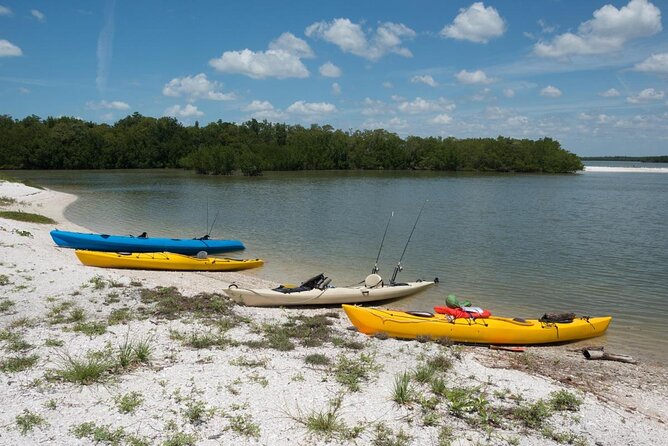 Marco Island Inshore Fishing Charters - Five things to know before booking