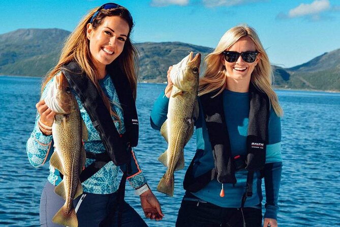 Marmaris Fishing Tour With Rods & Baits Included - What you are likely to catch