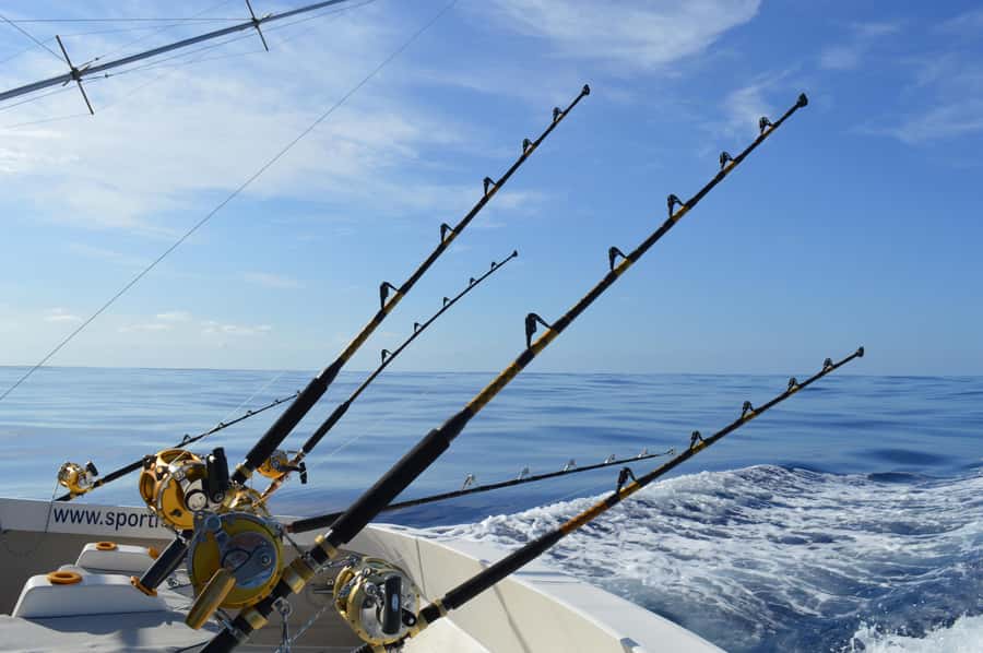 Mauritius: Big Game Fishing Trip from Grand Baie - Coin de Mire and the five-hour meal break