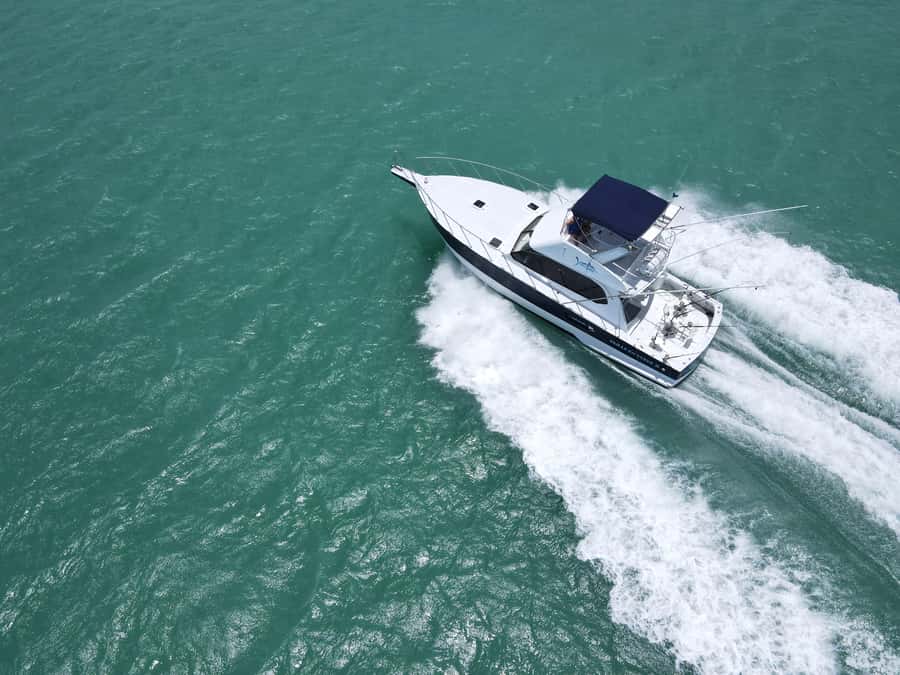 Mauritius: Big Game Fishing Trip from Grand Baie - The crew makes the difference