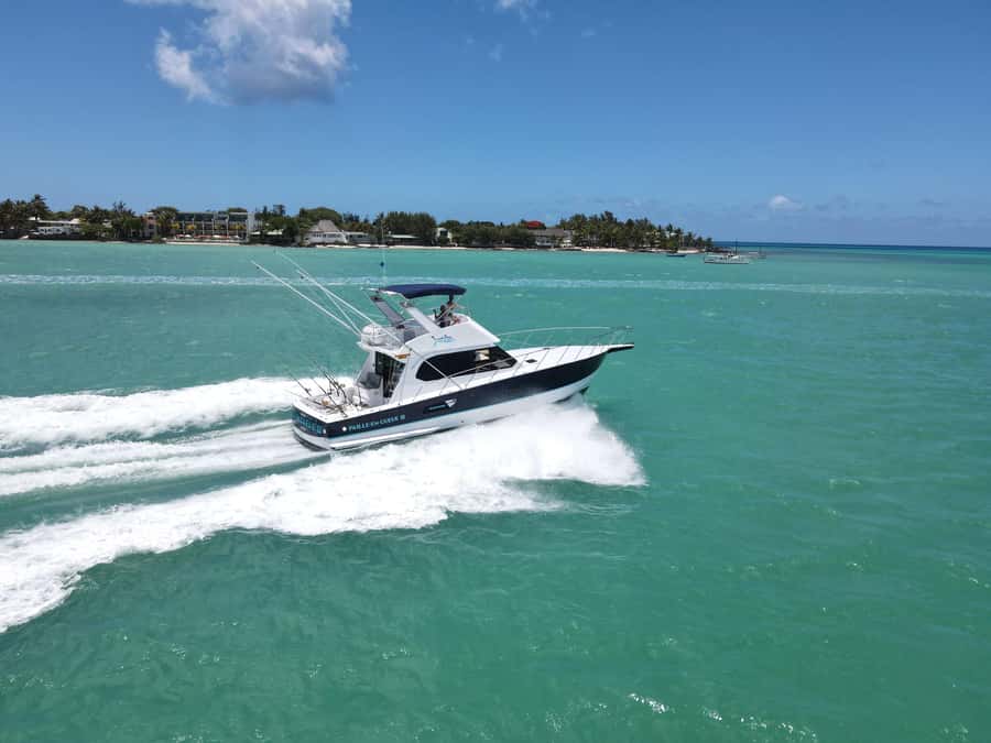 Mauritius: Big Game Fishing Trip from Grand Baie - Who will enjoy this most?