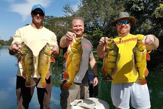 Miami Airport Lakes Peacock Bass Fishing Trip (1 to 4 ppl) - Why Airport Lakes makes a smart fishing base