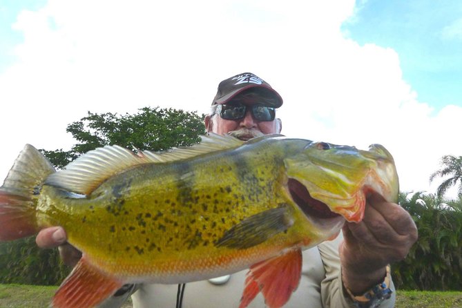 Miami Airport Lakes Peacock Bass Fishing Trip (1 to 4 ppl) - Meeting at Antonio Maceo Park