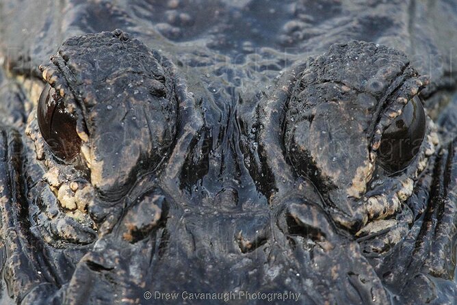 Mosquito Lagoon Sight Fishing Charters Near Orlando Florida - Backcountry Flats: Redfish, Trout, and Drum