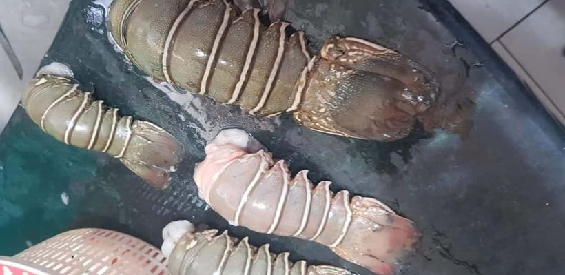 Mumbai Coastal Cooking: From Fishing Net to Flavourful Plate - Why Mumbai’s Fishing Past Matters