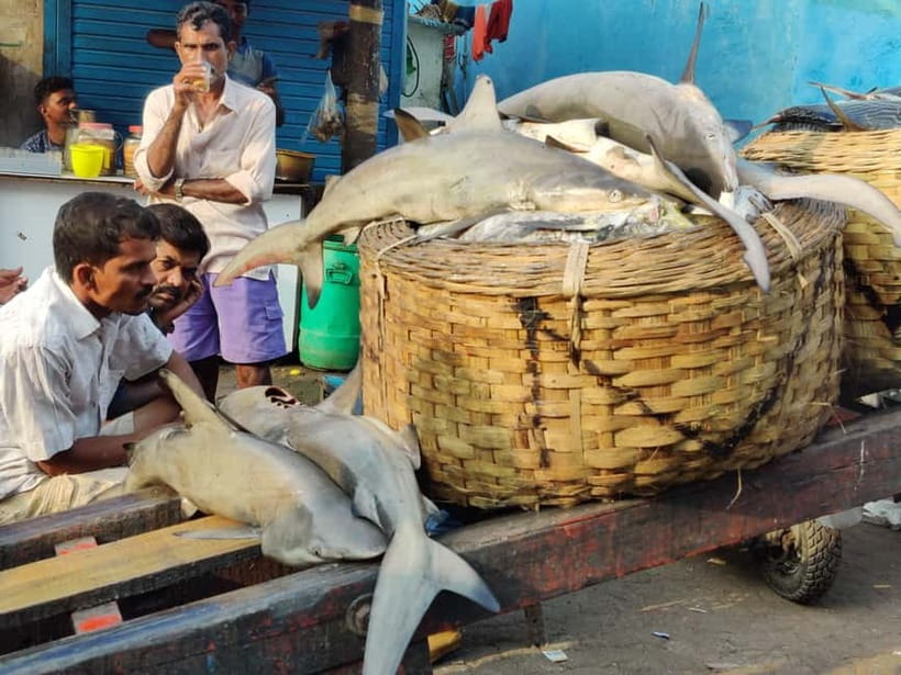 Mumbai Coastal Cooking: From Fishing Net to Flavourful Plate - The Meal Is Part of the Lesson