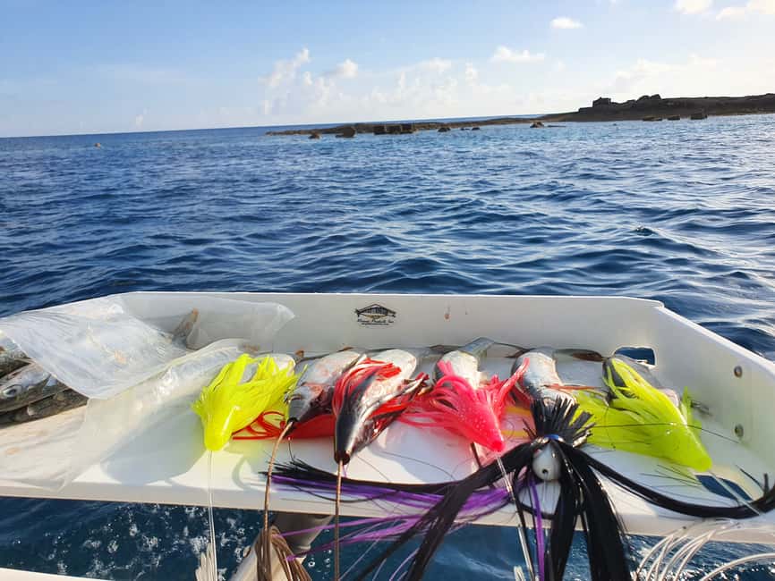 Nassau: Sport-fishing private charter . - A private boat day from Paradise Island