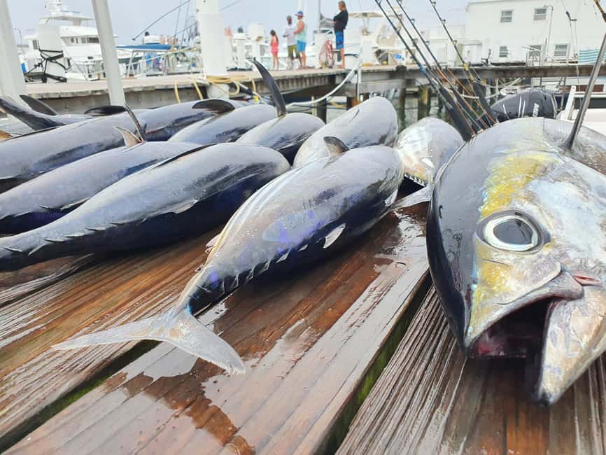 Nassau: Sport-fishing private charter . - What the four hours may feel like
