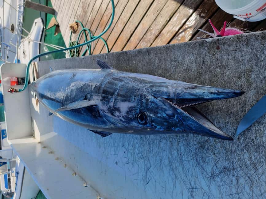 Nassau: Sport-fishing private charter . - Who gets the best value from this charter?