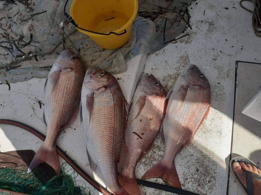 Naxos: Private Fishing Trip with Catch & Cook Onboard Meal - Kato Koufonisi for swimming and photographs