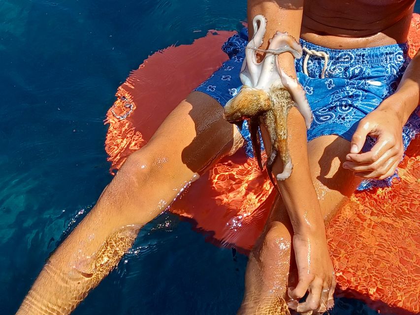 Naxos: Private Fishing Trip with Catch & Cook Onboard Meal - From Panormos to the open sea