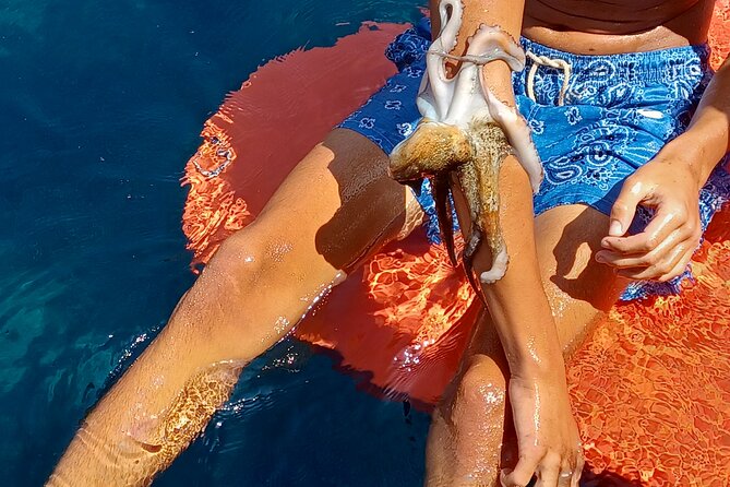 Naxos private fishing trips, lunch on board & island hopping - Is $1,180.78 good value for a private boat?