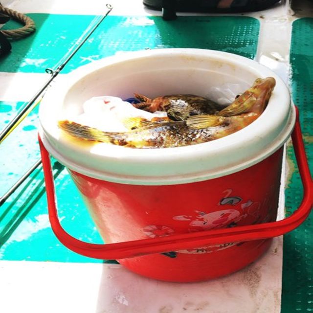 Nha Trang - Private Fishing tour - Why the private boat changes the value
