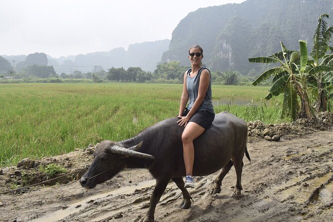 Ninh Binh eco group tour - Buffalo riding, rice planting, fishing - What the $41.41 price really includes