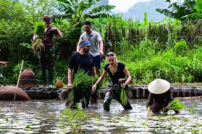 Ninh Binh eco group tour - Buffalo riding, rice planting, fishing - Practical details that affect your day
