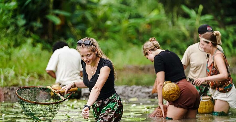 Ninh Binh: Rice planting and fishing by basket tour - Key points to know before you book