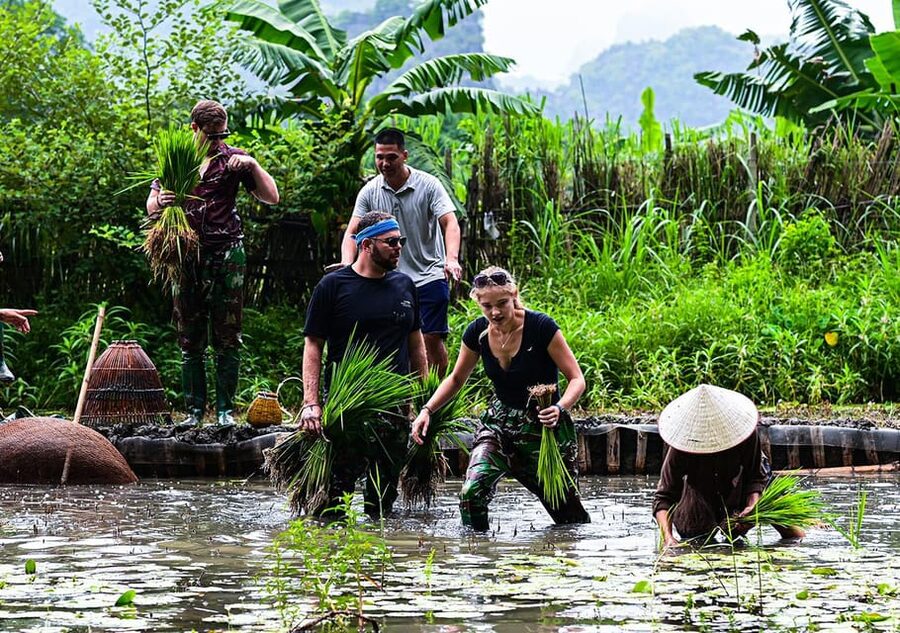 Ninh Binh: Rice planting and fishing by basket tour - What this Ninh Binh farm experience is really about