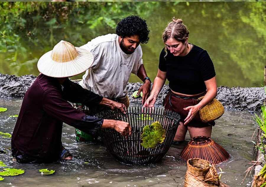 Ninh Binh: Rice planting and fishing by basket tour - Planting rice beside local farmers