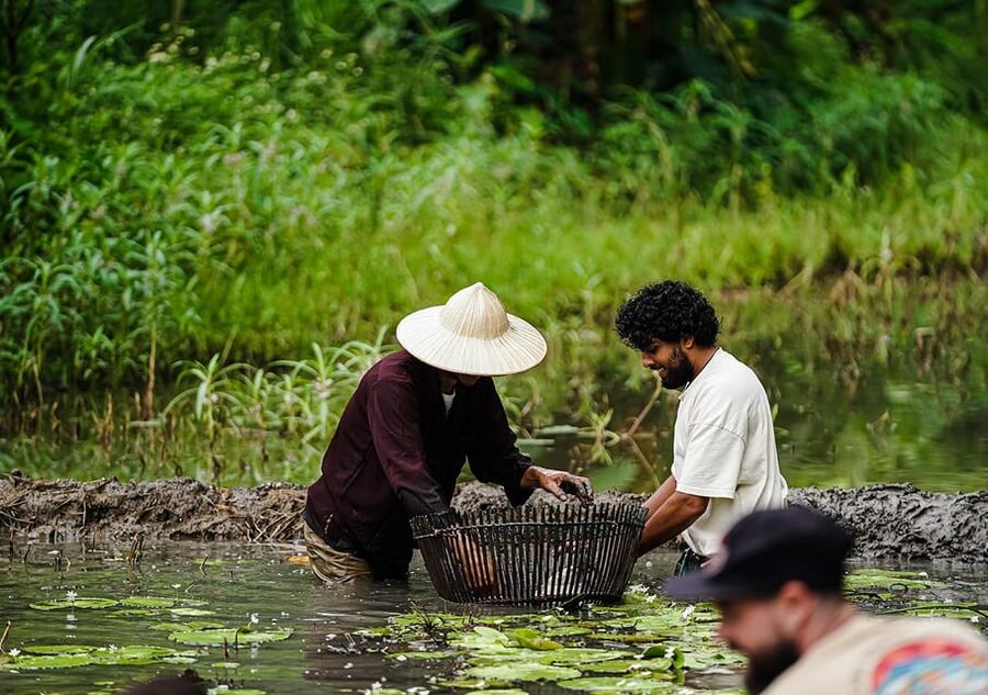 Ninh Binh: Rice planting and fishing by basket tour - Meeting at Buffalo Cave near Tam Coc