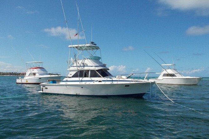 Offshore Fishing - Half Day (Trolling) - A 38-foot Hatteras built for the fight