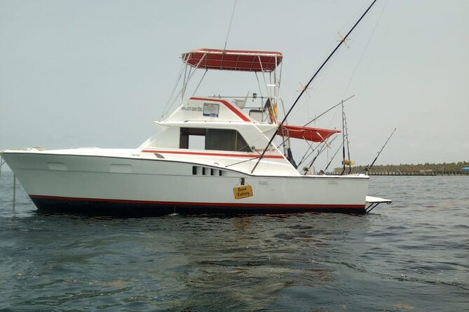 Offshore Fishing - Half Day (Trolling) - Who will enjoy this most