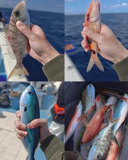 Okinawa: 1/2-Day Private Sea Fishing Charter, Naha w/Pickup - Coral views, seabirds, and the value of a slow bite