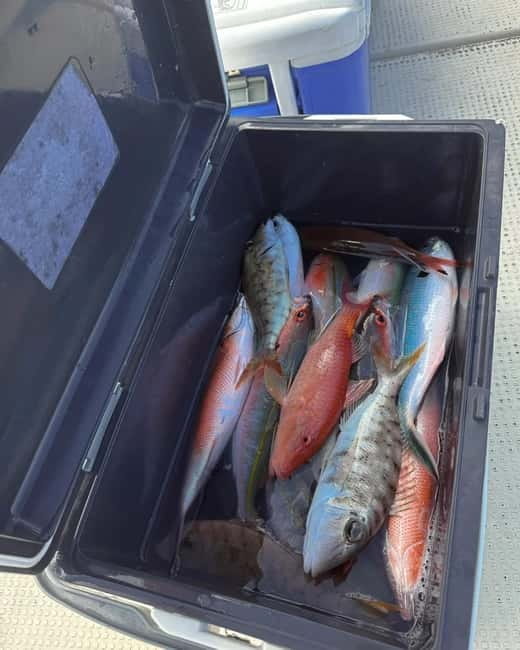 Okinawa: 1/2-Day Private Sea Fishing Charter, Naha w/Pickup - Is $116 per person fair?