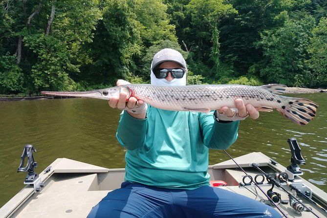 Osprey Fishing Charters: Potomac River Fishing - Fish You Might Catch