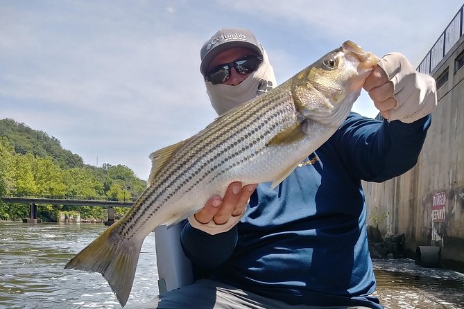 Osprey Fishing Charters: Potomac River Fishing - Is This Good for Children and Beginners?