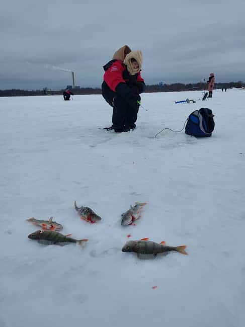 Oulu: Arctic Sea Ice Fishing - Who will enjoy this Oulu winter activity