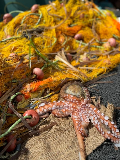 Paros: Highlights Tour with Fishing & Tasting in Naoussa - Laggeri Beach brings another quiet swim