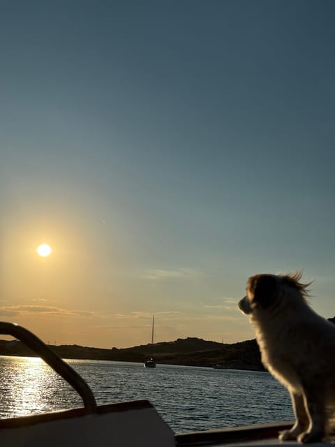 Paros: Highlights Tour with Fishing & Tasting in Naoussa - Agia Kalli and Analypsi island close the route