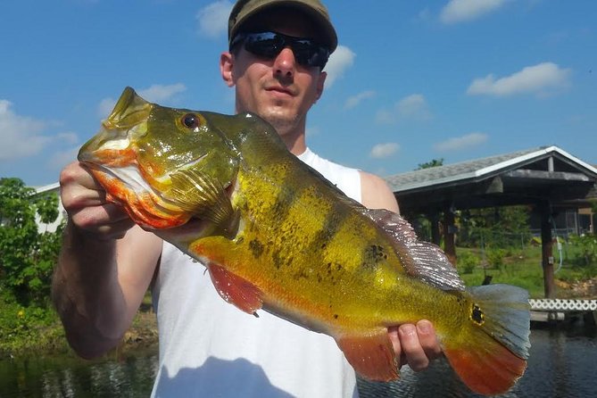 Peacock Bass Fishing Trip in Boynton Beach - Starting at John Prince Memorial Park